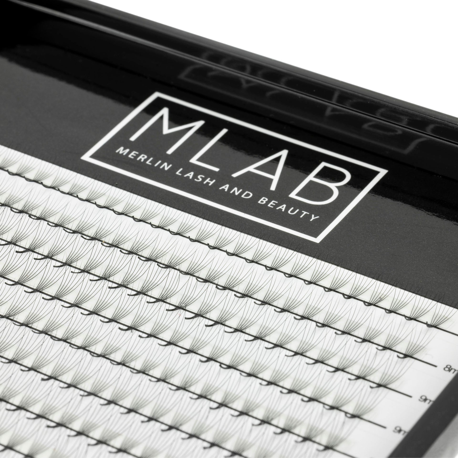 6D 0.05 Premade Lash Fans