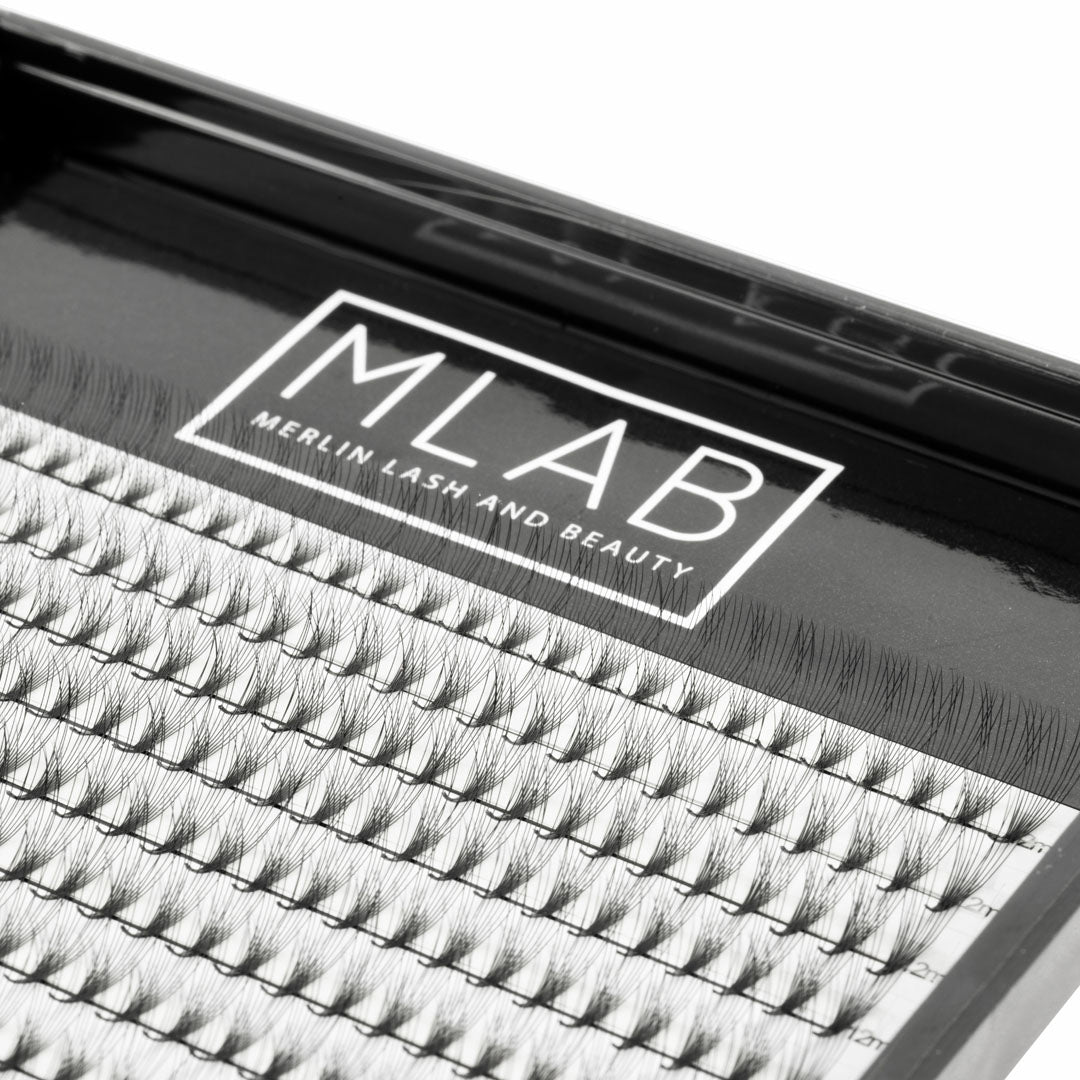 10D 0.05 Premade Lash Fans