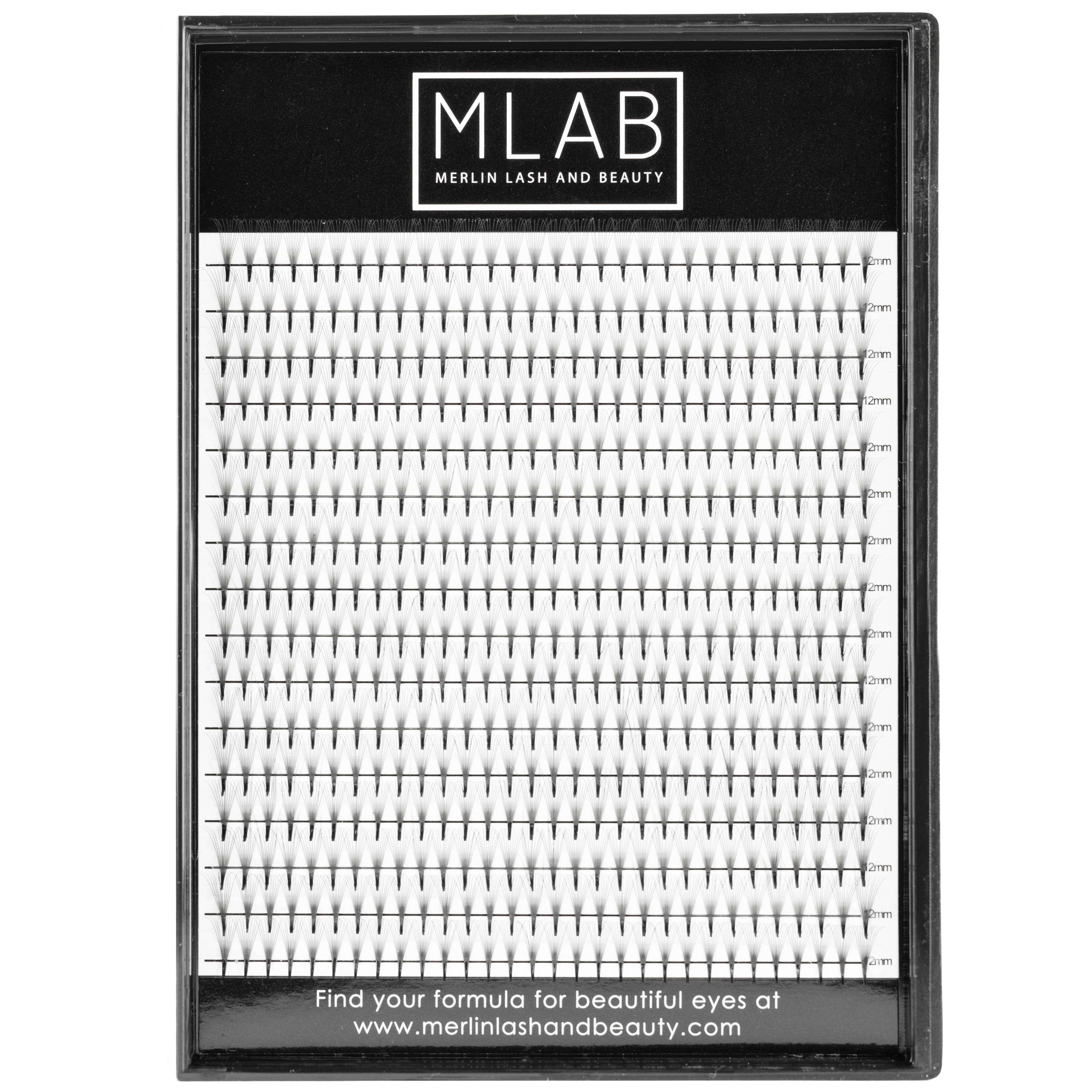 10D 0.05 Premade Lash Fans