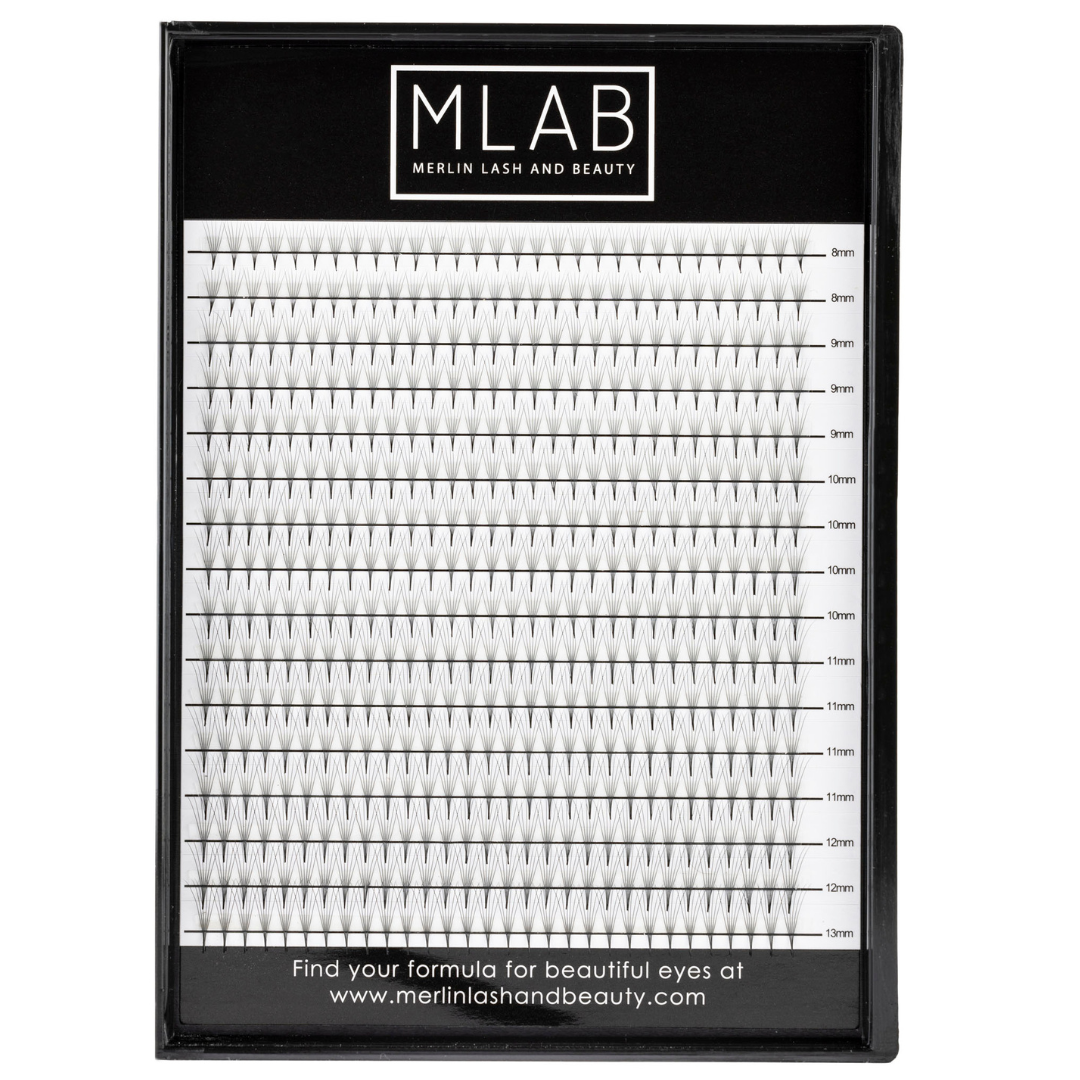 6D 0.07 Premade Lash Fans