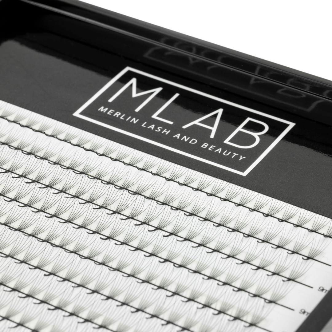 6D 0.07 Premade Lash Fans
